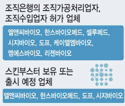 뜨거워지는 ‘ECM 스킨부스터’ 시장…호시절 끝나나