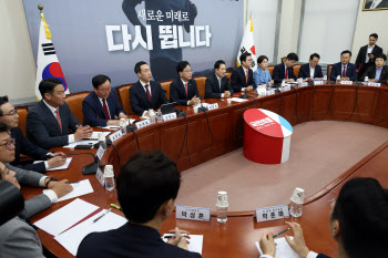 국민의힘, ‘조희대·한덕수 회동’ 의혹 제기 서영교·부승찬 고발하기로