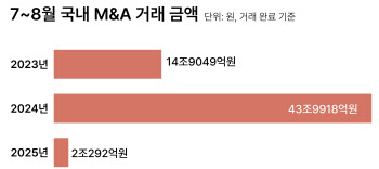 兆단위 딜 실종…불확실성 속 몸사리는 M&A 시장