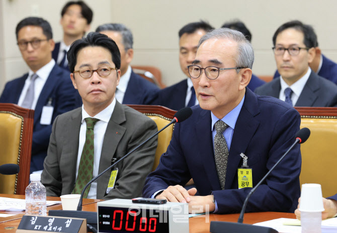 김영섭, '펨토셀 회수·관리 부실…사고 이후 조치'                                                                                                                                        
