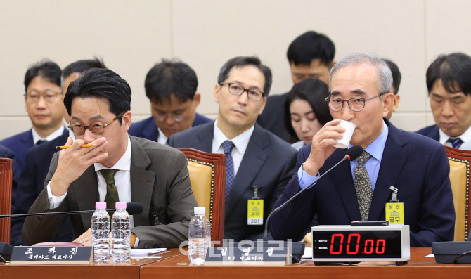 통신·금융 해킹사고 청문회 출석한 김영섭-조좌진                                                                                                                                                   