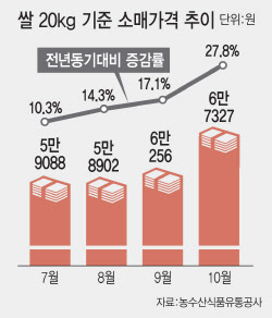 1년새 쌀값 급등락…정부 통제식 쌀 시장관리 한계 보여줘