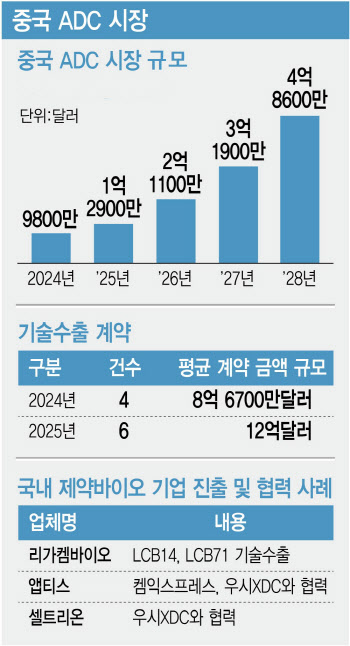 판 커지는 中 ADC 시장…기회 잡을 K-바이오 주자는?