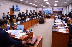 '기업인 대거 소환' 부담됐나…삼성·현대차·LG 국감 증인 철회