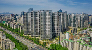 17평 아파트가 33억 찍었다…돈줄 막히자 확 바뀐 시장