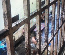 “안구 적출” “소각장 처리”…캄보디아 ‘웬치’ 충격 증언