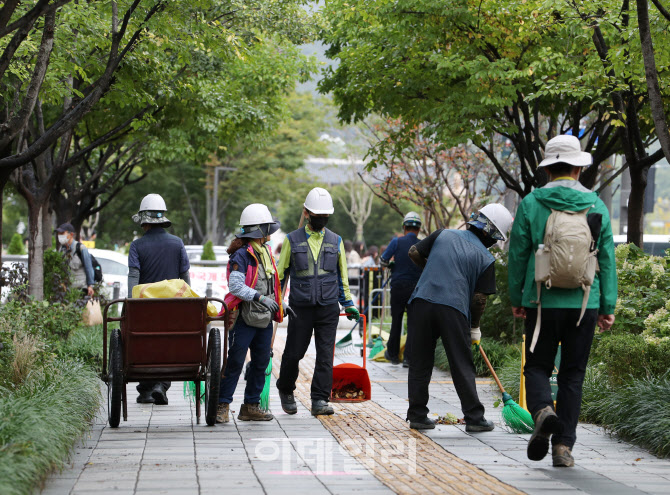  간밤에 떨어진 낙엽                                                                                                                                                                               
