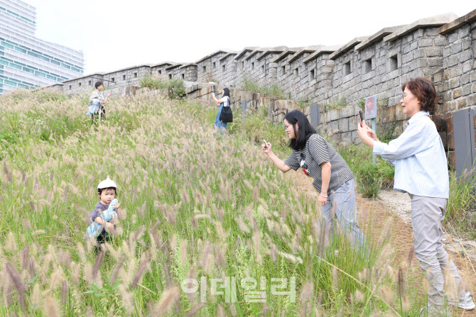 아이에게 기억될 가을                                                                                                                                                                              