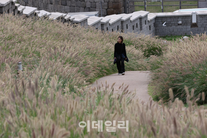가을 억새를 느끼며~ 