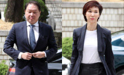 최태원·노소영 &apos;세기의 이혼&apos;, 대법 판결이 남긴 것[법조프리즘]