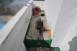 동거녀 살해 후 시멘트 암매장 50대男, 징역 16년6개월 확정