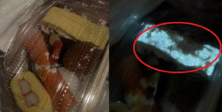 빛나는 ‘야광 초밥’? “신기하다” 했더니…절대 먹지 마세요