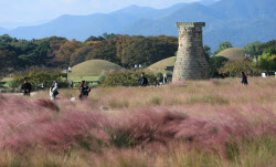 [포토]'경주는 지금 가을'                                                                                                                                                                      