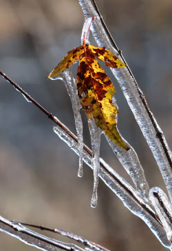 아침엔 '쌀쌀' 낮부터 '포근'…