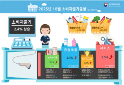 [속보]찹쌀 45.5%·빵 6.6%·커피 14.7%·달걀 6.9%…먹거리 물가↑