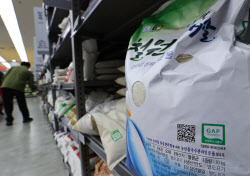 쌀·빵·달걀 가격 다 올라…고환율에 물가 ‘직격탄’(상보)