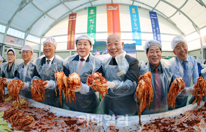  '평창고랭지김장축제' 김장 담그기 체험