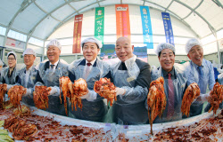 [포토] '평창고랭지김장축제' 김장 담그기 체험                                                                                                                                                  