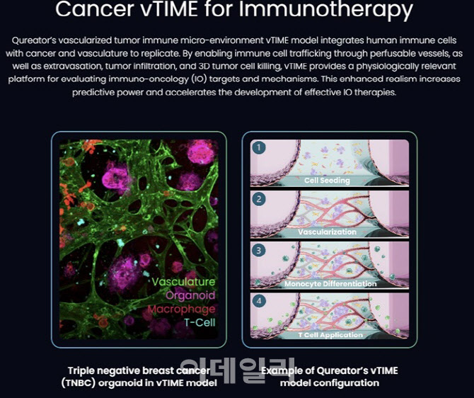 신라젠, 세계 첫 오가노이드 임상 FDA 승인 성과와 의미 - 뉴스 썸네일 이미지