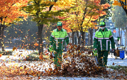 또 월요일 추위…주말 비온 뒤 초겨울 날씨 온다