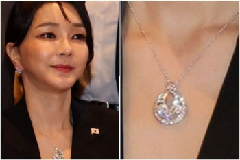 김건희 측 "그라프 목걸이 DNA 감정 요청" 법원에 의견서