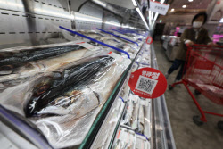 국민 생선에 무슨 일이…가격 폭등에 이것 손본다[씨뷰어]