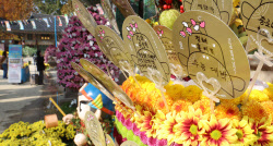 [포토]수능대박을 위해                                                                                                                                                                                   