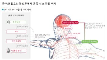 "글로벌 최초 다중 수용체 표적 비마약성 진통제 상용화"[비보존그룹 대해부②]