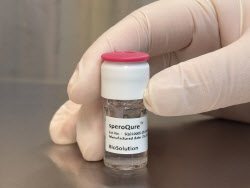 바이오솔루션, 주사형 골관절염 치료제 ‘스페로큐어’  국내 임상 신청