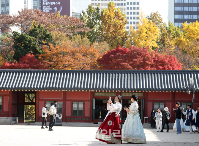  가을을 즐기는 시민들                                                                                                                                                                             