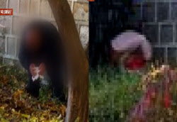 "남녀가 나란히 쭈그려 앉더니"…경복궁 &apos;용변 테러&apos; 파문