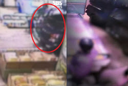 사람들 ‘혼비백산’…부천 시장 질주 트럭, CCTV 보니