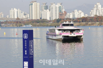 강바닥 걸려 멈춰선 한강버스…"수심 낮아 인양 연기"