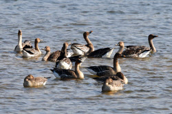 "내일 많이 추워요" 출근길 강풍에 체감온도 &apos;뚝&apos;[내일날씨]