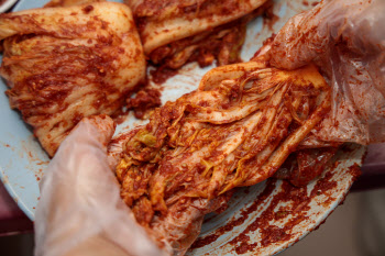 "여기가 4.2만원 싸다"…올해 김장 비용 아끼려면