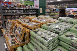 세계 입맛 홀리더니…한국의 '검은 반도체' 대박날 소식