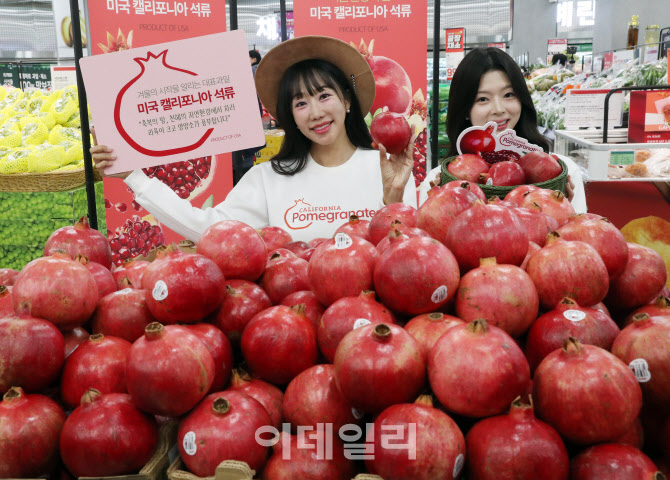  겨울의 시작을 알리는 과일 '석류' 