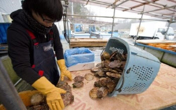[속보]중국, 日에 일본산 수산물 수입 중지 통보-교도통신