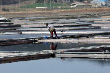&apos;신안 염전노예&apos; 美 대사관이 조사 나서...&apos;나라 망신&apos;