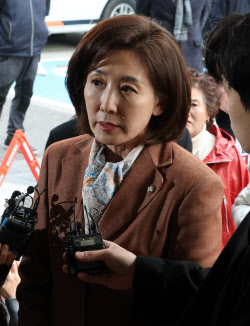 ‘패트 충돌’ 野 의원 6명 벌금형…나경원 “與 독재 저지선 인정”(종합)