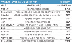 &apos;AI’ 간판 씌운 예산 폭증…보류·삭감 잇따라