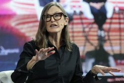 “할인할 때 사자” 돈나무 언니, 3개월 만에 엔비디아 추매