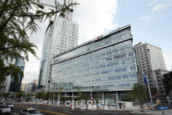 [마켓인]BSG파트너스 자회사 편입한 LX인터…그룹 SI 기반 확보