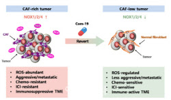 압타바이오, 면역항암제 ‘APX-343A’ 유럽 특허 확보…글로벌 경쟁력 강화