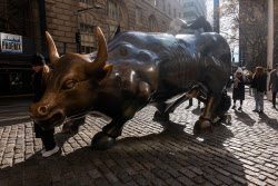 "S&P500, 내년 8000 간다"…JP모건도 ‘약세론 철회’