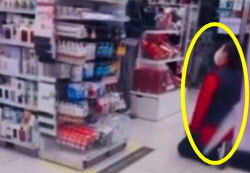 무릎꿇고 기어가며 "죄송"...다이소 "아이 外 갈등도"