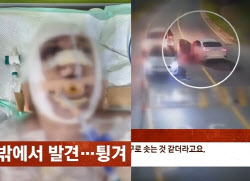 “잠 깨웠냐” 대리기사 매달고 1.5㎞ 질주…CCTV ‘처참’