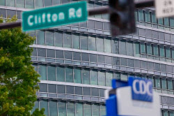 美동물 실험 축소하나…CDC, 원숭이 실험 중단 예고[제약·바이오 해외토픽]