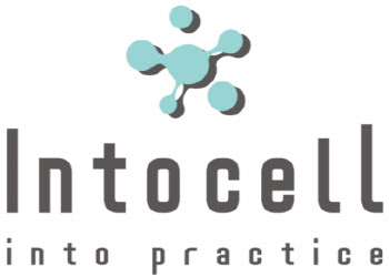 인투셀, 고형암 치료제 &apos;ITC-6146RO&apos; 임상 1상 계획 식약처 승인