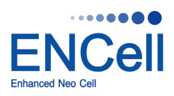 이엔셀, NH·BNH·파트너스 등에 225억 규모 CB 발행